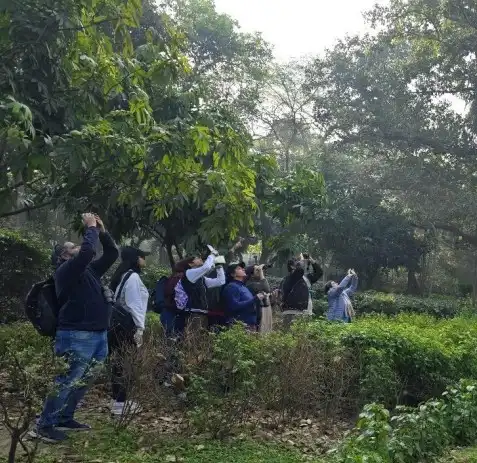 Screenshot 2025-07-31 141353